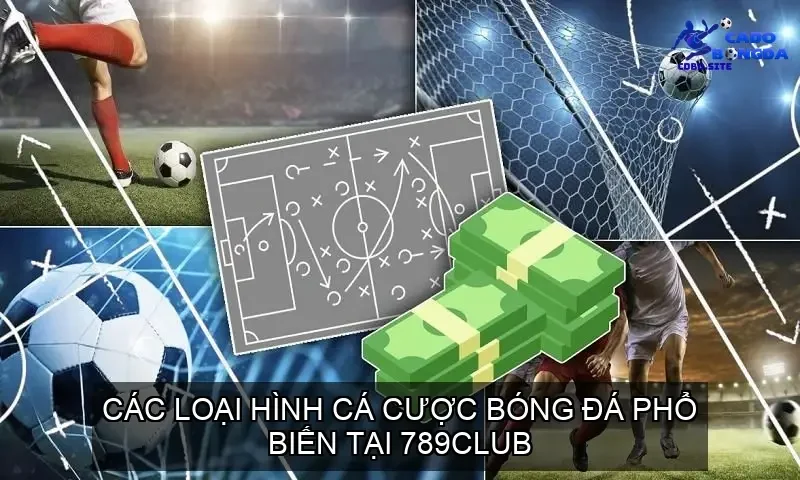 Các Loại Hình Cá Cược Bóng Đá Phổ Biến Tại 789Club