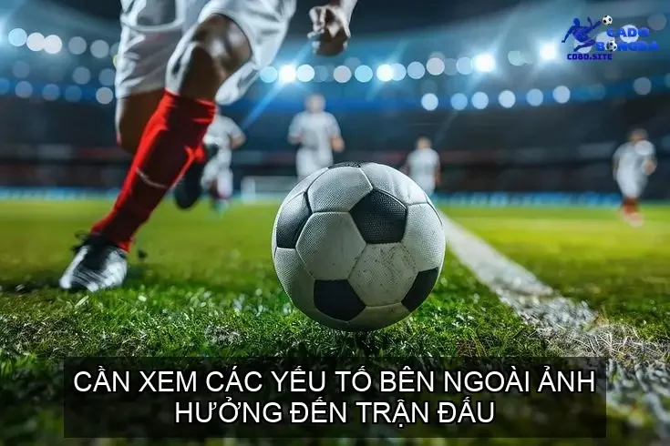 Cần xem các yếu tố bên ngoài ảnh hưởng đến trận đấu