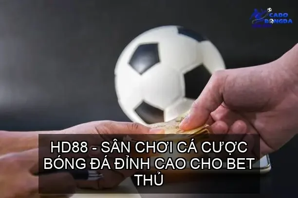 ca cuoc bong da hd88 68cd144483dc3