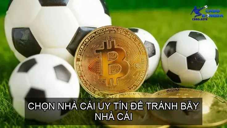 Chọn nhà cái uy tín để tránh bẫy nhà cái