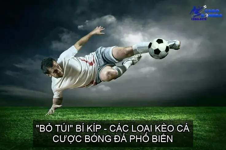 cac loai keo ca cuoc bong da 68cd140d1d326
