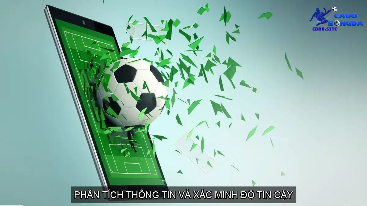 Phân Tích Thông Tin và Xác Minh Độ Tin Cậy