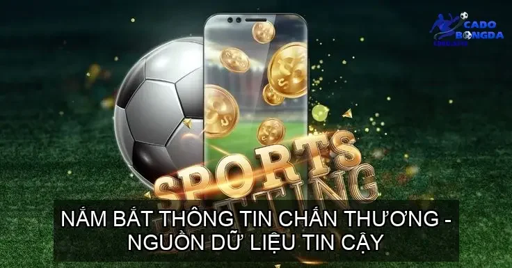 Nắm Bắt Thông Tin Chấn Thương - Nguồn Dữ Liệu Tin Cậy