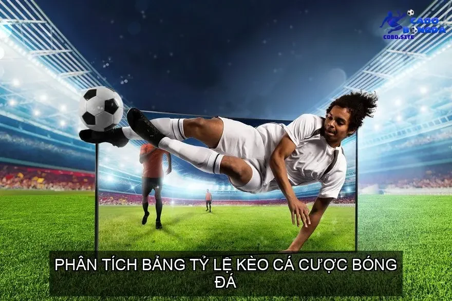 Phân tích các yếu tố ảnh hưởng đến tỷ lệ kèo