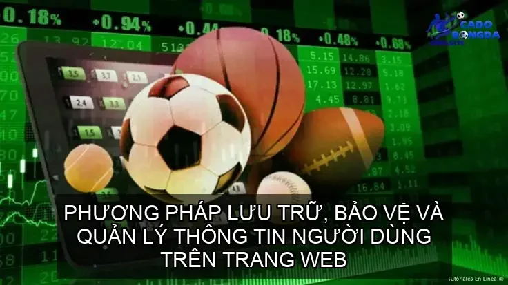 Phương Pháp Lưu Trữ, Bảo Vệ Và Quản Lý Thông Tin Người Dùng Trên Trang Web