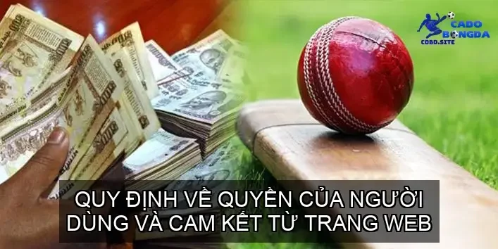 Quy Định Về Quyền Của Người Dùng Và Cam Kết Từ Trang Web