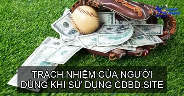 Trách nhiệm của người dùng khi sử dụng cdbd.site