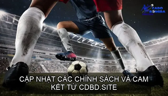 Cập Nhật Các Chính Sách và Cam Kết Từ cdbd.site