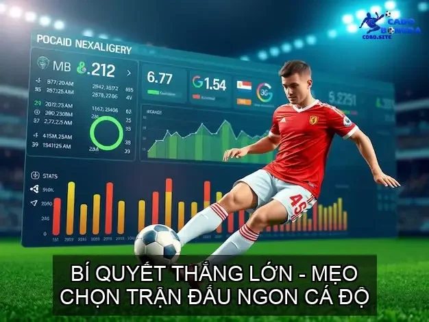 chon tran dau ngon ca do 68cd13fb367cc