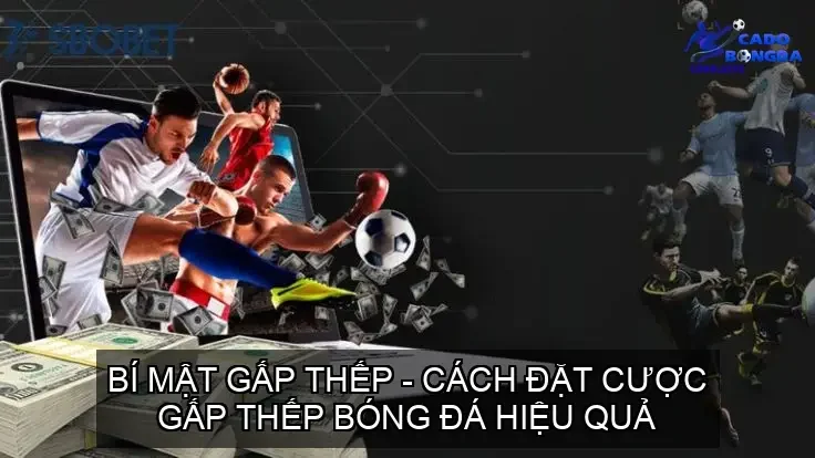 dat cuoc gap thep 68cd13ff64b53