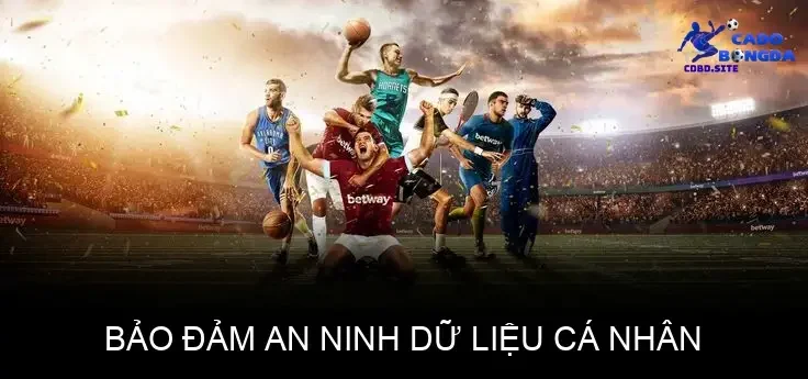 dieu khoan su dung cua wesbite cdbd site 68cd13aa875c3