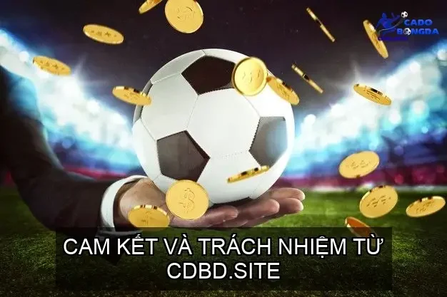 dieu khoan su dung cua wesbite cdbd site 68cd13aaaadf1