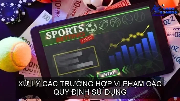 dieu khoan su dung cua wesbite cdbd site 68cd13aac1f5e