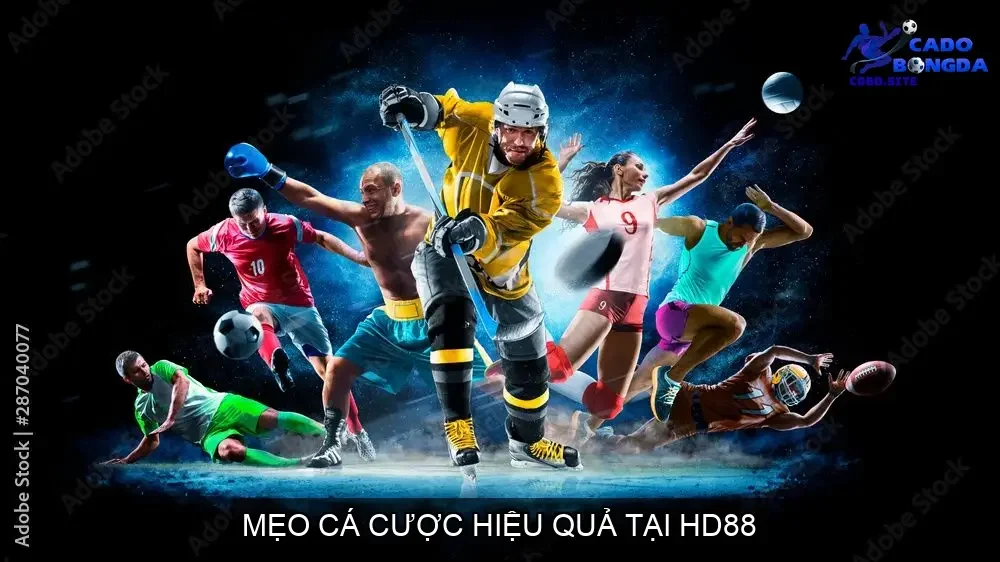 Mẹo Cá Cược Hiệu Quả Tại HD88