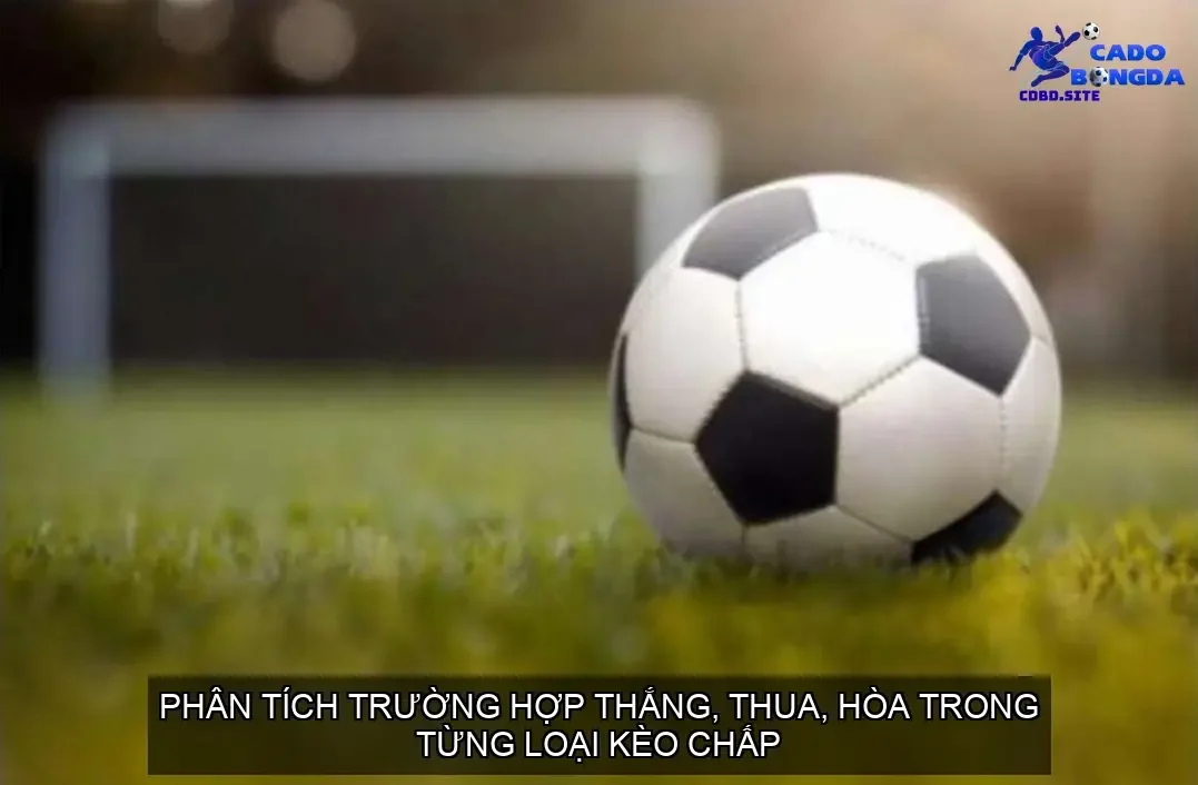 Phân tích trường hợp thắng, thua, hòa trong từng loại kèo chấp