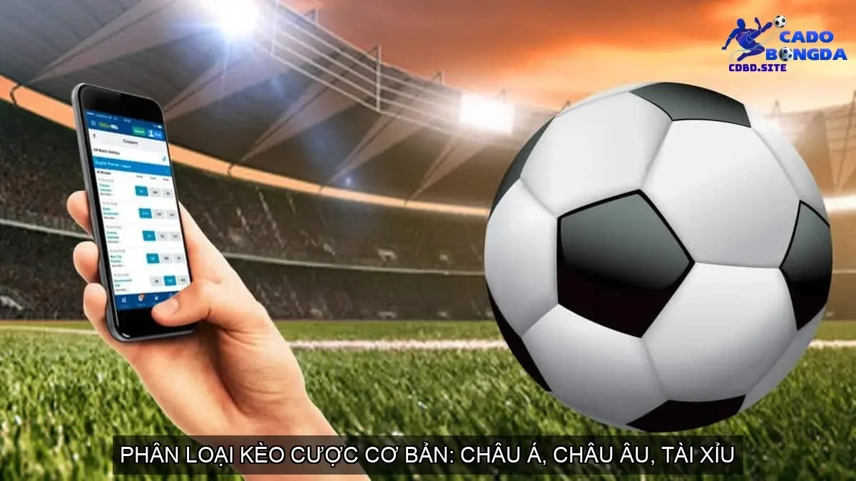 keo bong da truc tuyen ty le keo nha cai huong dan ca cuoc chi tiet 68cd13a3417fa