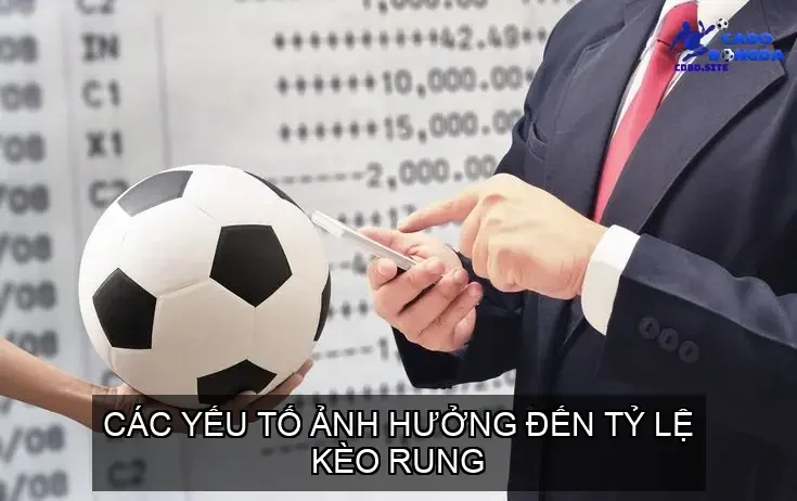 Các Yếu Tố Ảnh Hưởng Đến Tỷ Lệ Kèo Rung