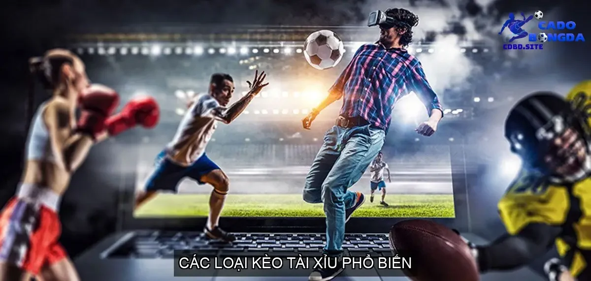 Các Loại Kèo Tài Xỉu Phổ Biến