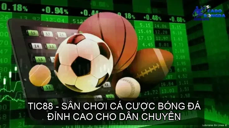 tic88 ca cuoc bong da 68cd1448874f2
