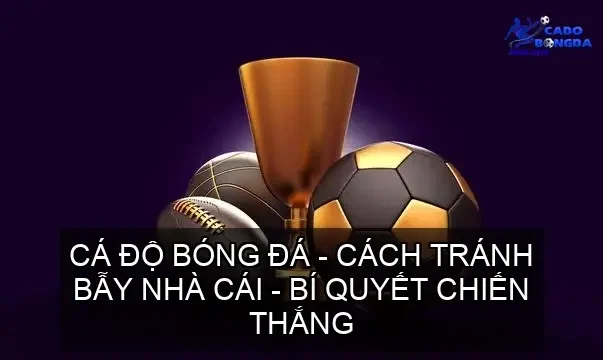 tranh bay nha cai 68cd14039e4d4